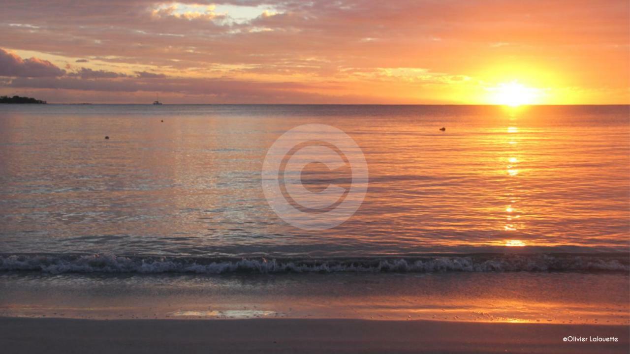 Fantastic Spacious Beachfront Villavacances 格兰贝伊 外观 照片