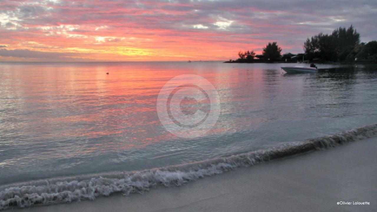 Fantastic Spacious Beachfront Villavacances 格兰贝伊 外观 照片